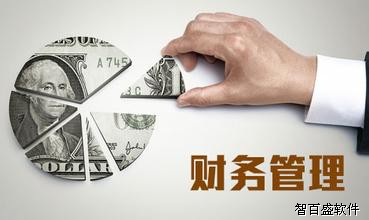 挂靠公司财务会计管理